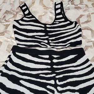 2 piece Zebra skirt set